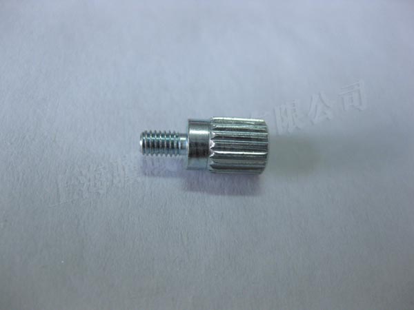 93-00-48 screw